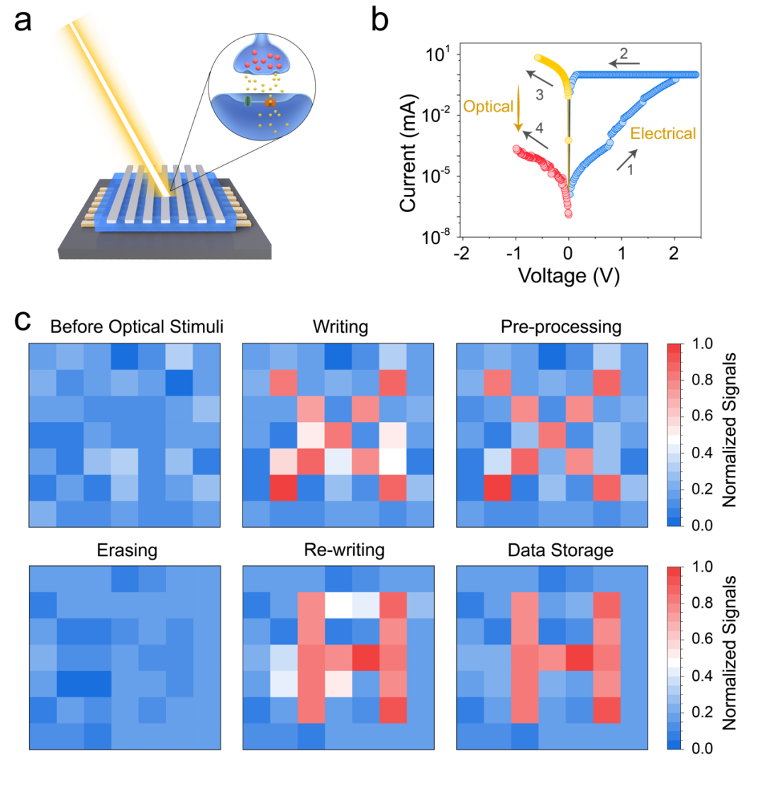 1694134222810695.png 640.png